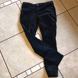 Black LOFT velvet pants